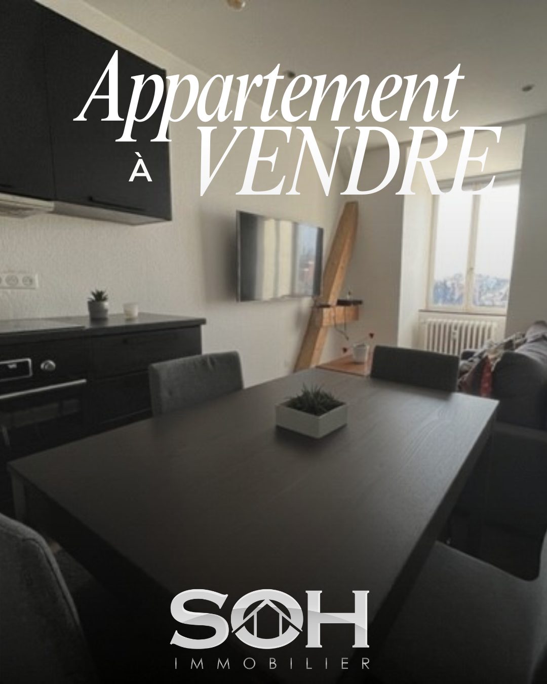 APPARTEMENT STRASBOURG ORANGERIE - 2P -
