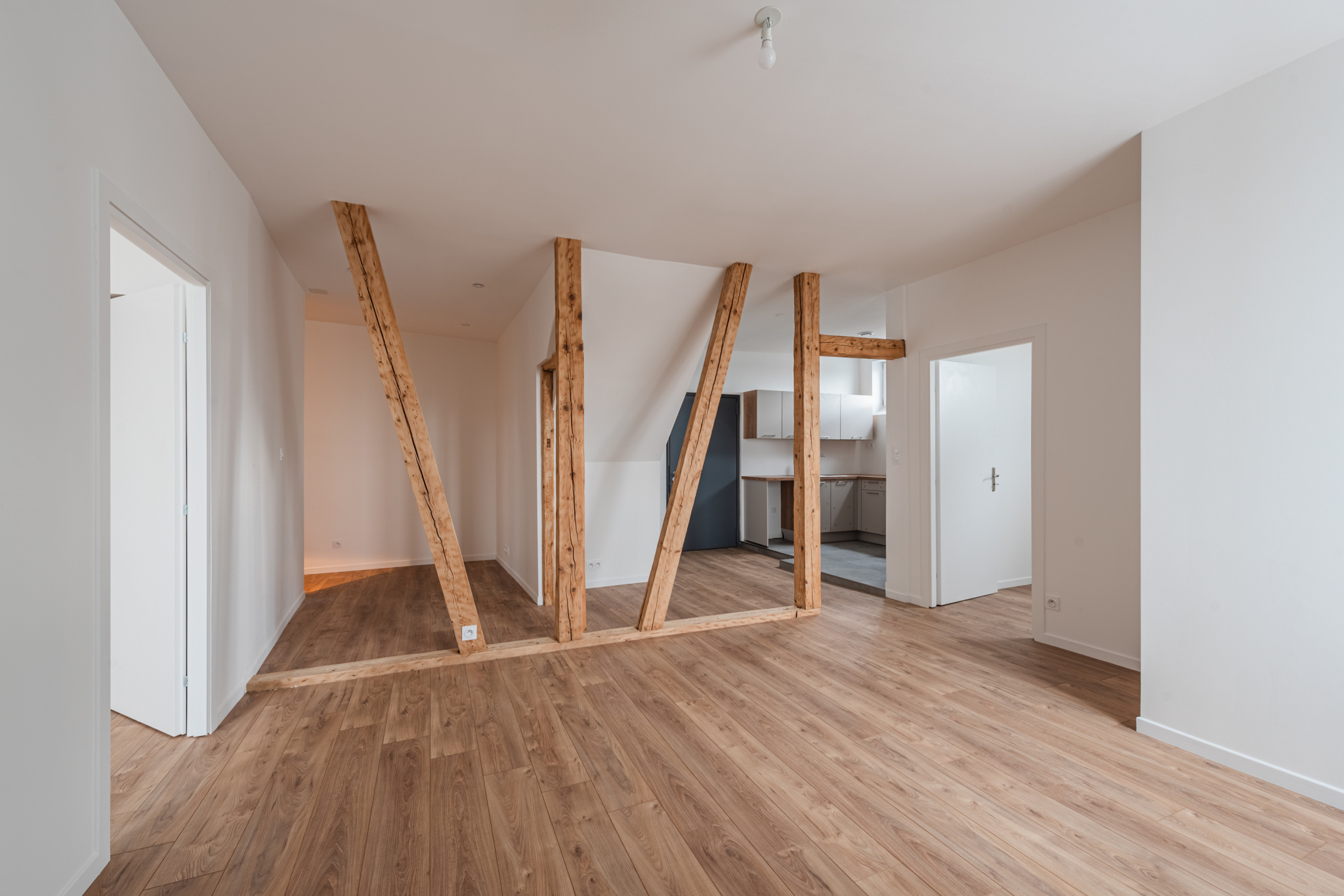 APPARTEMENT STRASBOURG GARE F3 REFAIT A NEUF