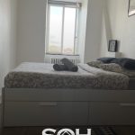 APPARTEMENT STRASBOURG ORANGERIE - 2P -