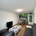 Appartement 2 pièces avec balcon à Illkirch