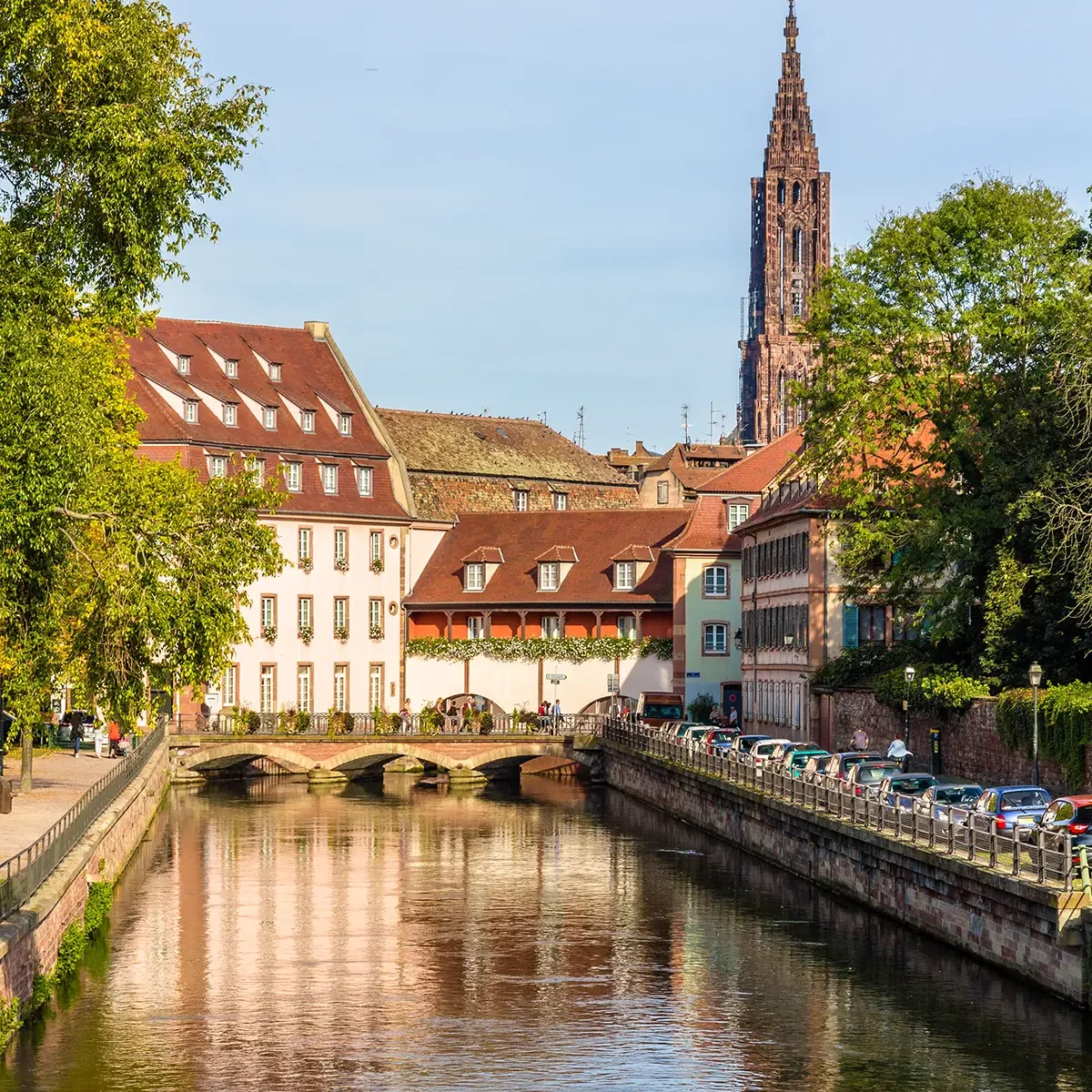 agence-immobiliere-strasbourg